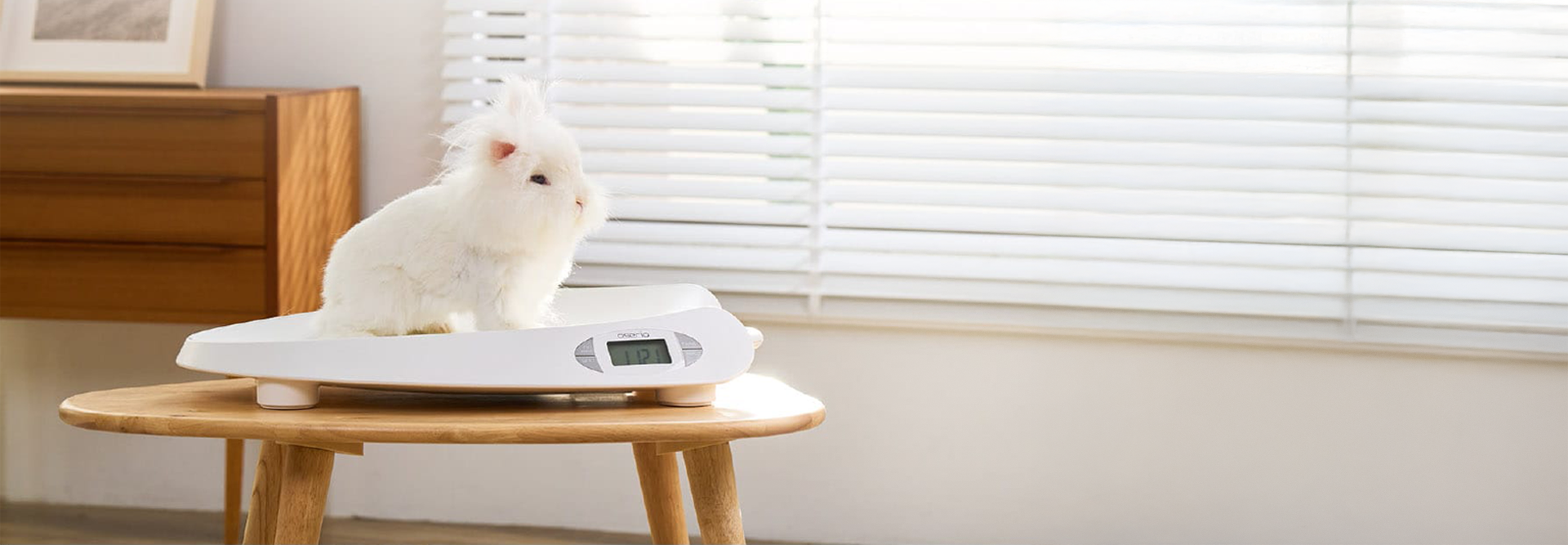 Digital Pet Scale Digital Pet Scale
